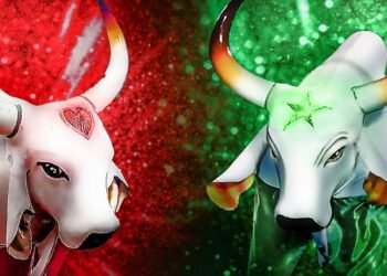 festival-benjaminense-boi-corajoso-manganga