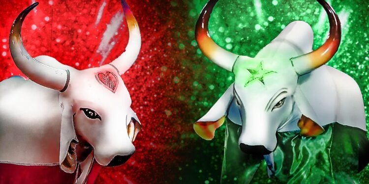 festival-benjaminense-boi-corajoso-manganga