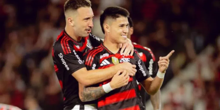 flamengo-luiz-araujo