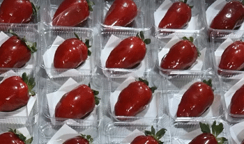 ‘Morango do amor’, saiba como o novo fenômeno das redes sociais tem aumentado as demandas em confeitarias