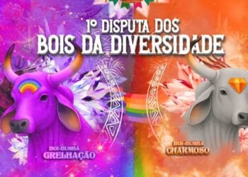 Bois da Diversidade de Manaus (Arte: Reprodução/Instagram - @boicharmoso e @boigrelhacao)