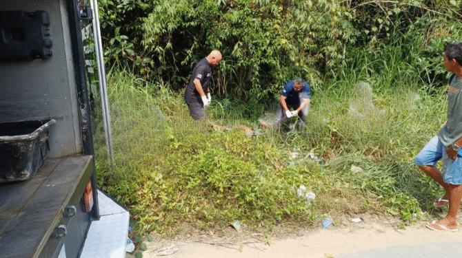 Corpo com sinais de violência é encontrado em área de mata no bairro Santa Etelvina