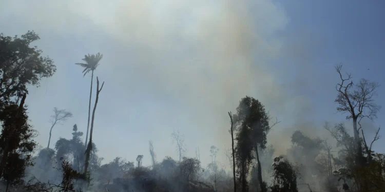 Defesa Civil emite alerta sobre qualidade do ar em municípios do AM