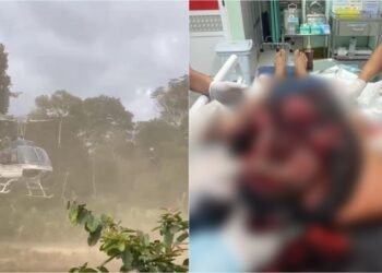 Liderança indígena é atacada por onça em comunidade de Lábrea (AM)