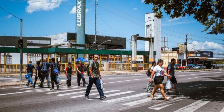 Faixa de Pedestres na avenida Torquato Tapajós (Foto: João Dejacy/Rios de Notícias)