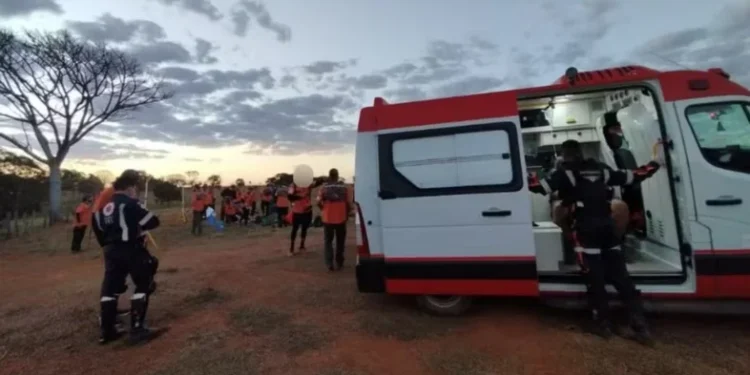 Retiro-legendarios-abelhas