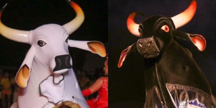 Manaus recebe espetáculo dos Touros de Barreirinha, no Largo de São Sebastião