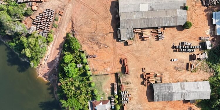 Ipaam aplica R$ 4,4 milhões em multas por extração ilegal de madeira na RDS do Juma, em Novo Aripuanã