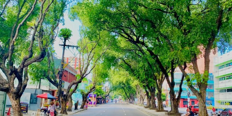 Avenida Getúlio Vargas vai receber a ‘Faixa Liberada do Centro’, anuncia prefeitura
