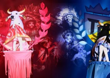 itens-touros-barreirinha