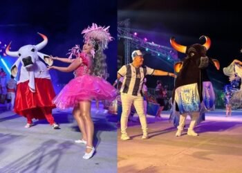 touros-preto-branco - 1