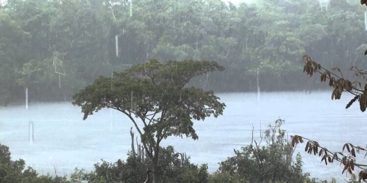 Defesa Civil do Amazonas emite alerta de chuva para municípios do interior do estado