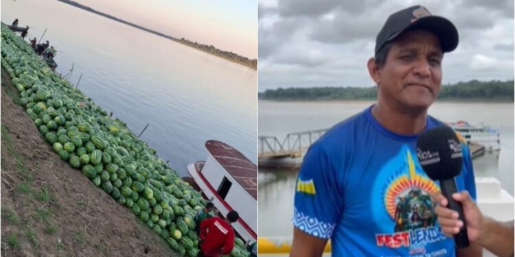 Produção agrícola e cultivo de melancia fortalecem a economia de Novo Aripuanã