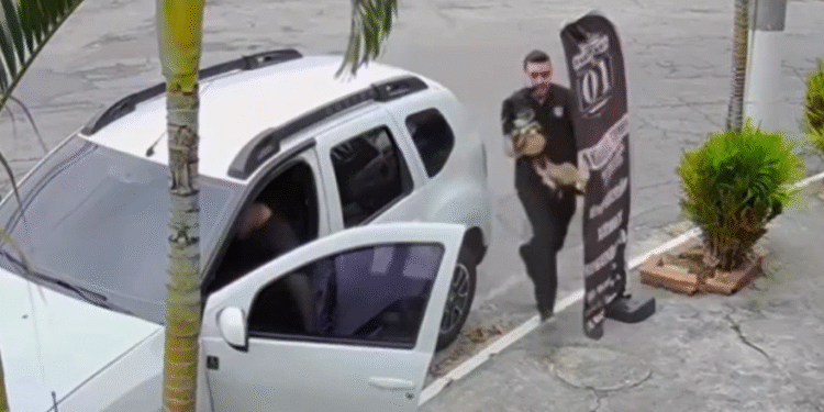 Vídeo homem salva cachorro de ataque de pitbull