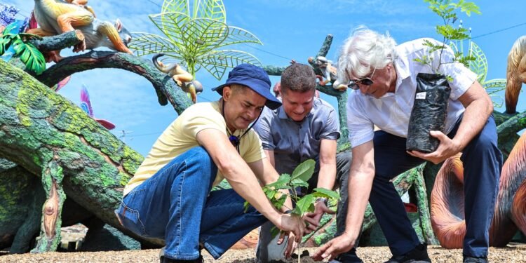 david-manaus-desmatada