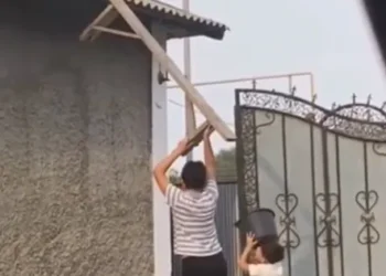 Crianças surpreendem com resgate improvisado de gato em telhado