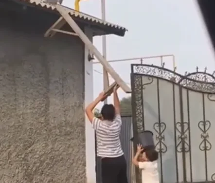 Crianças surpreendem com resgate improvisado de gato em telhado