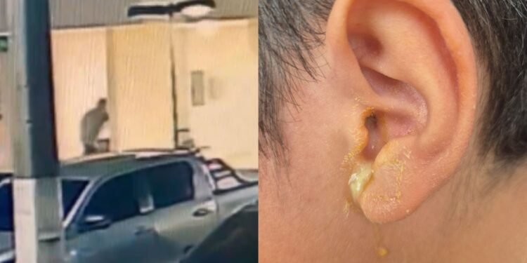 servidor-tjam-agride-crianca