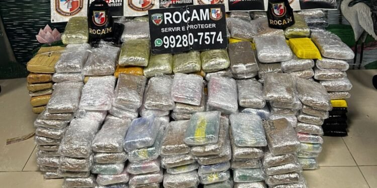 Meia tonelada de drogas apreendida na zona Leste; casal é preso