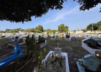 Arquidiocese de Manaus anuncia missas e homenagens para o Dia de Finados