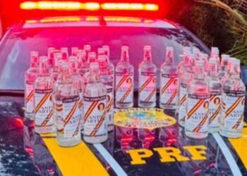 Bebidas aprendidas durante ação de rotina da PRF (Foto: Divulgação/PRF)