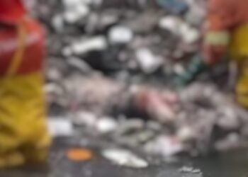 Corpo Encontrado - Servidores Semulsp