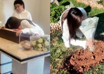 Dani Russo compartilha última homenagem á sua cachorra Furby