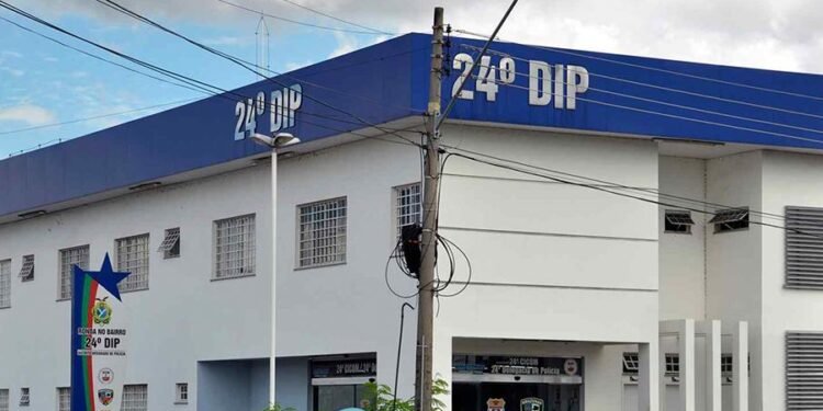Mulher é presa em Manaus por aplicar golpes com promessa falsa de imóveis públicos - (Foto: Erlon Rodrigues/ PC-AM)