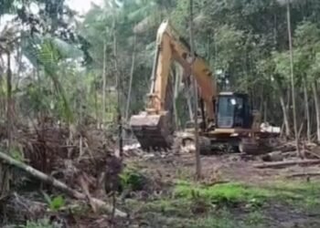 Reintegração de Posse