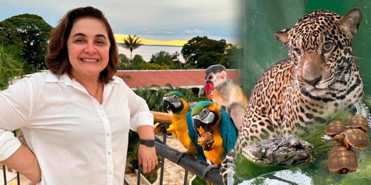 Mantido pela empresária Maria do Carmo Seffair, Zoológico do Tropical que acolheu onça-pintada abriga mais de 200 animais