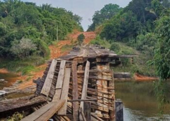 Estrada abandonada: MP cobra reparos na AM-364, única ligação entre Manicoré e Manaus