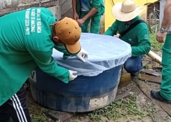 População deve ter cuidado com dengue e outras arboviroses no período chuvoso, alerta FVS