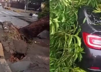 Árvore tomba e atinge carro no Centro durante forte chuva em Manaus