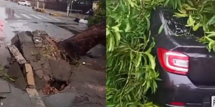 Árvore tomba e atinge carro no Centro durante forte chuva em Manaus