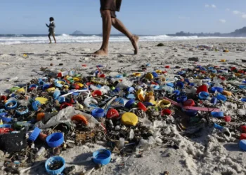 Micro e nanoplásticos contaminam água, ar e alimentos, mostra estudo