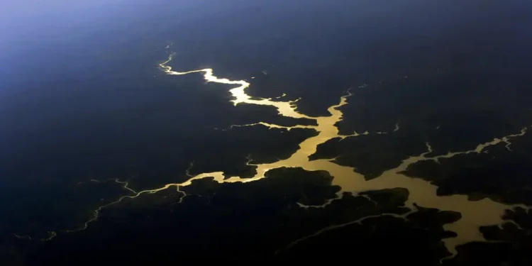 Captura de carbono na Amazônia está em risco, diz estudo