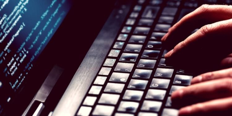 Operação prende quadrilha que fazia leilões falsos na internet