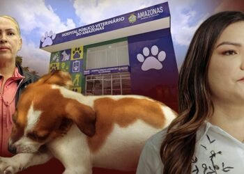 hospital-veterinario-amazonas-joana-darc