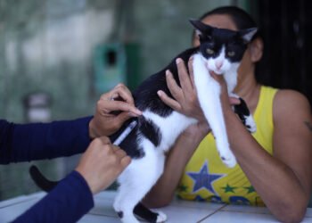 Campanha de vacinação antirrábica segue com pontos fixos em Manaus