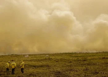 Calor já mata meio milhão de pessoas por ano, alertam cientistas