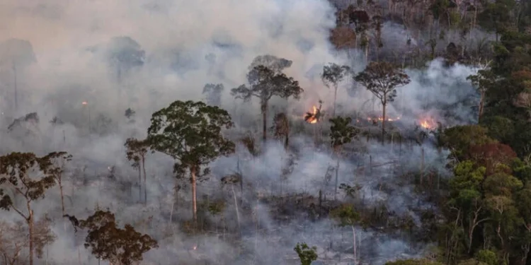 Boca do Acre registra ar mais poluído do Amazonas