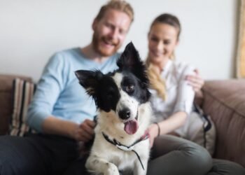 Vereador Aldenor Lima propõe que ‘Pais de pet’ sejam reconhecidos como família por lei em Manaus
