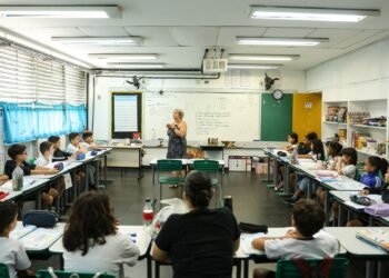 Professor pode pedir Carteira Nacional Docente a partir de amanhã