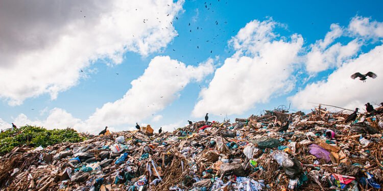 Amazônia convive com lixões enquanto tema segue ausente nas discussões globais