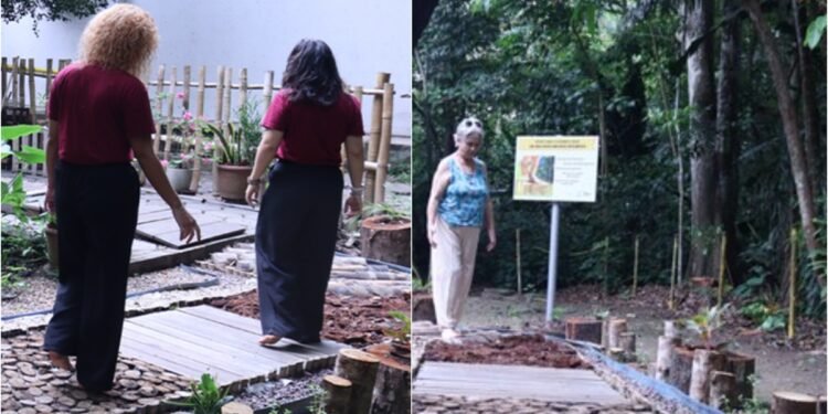 Bosque da Ciência tem trilha sensorial inclusiva com madeiras amazônicas