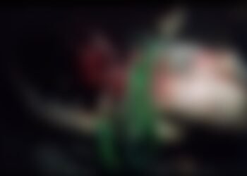 Homem é morto a facadas e encontrado em área de mata no São Jorge