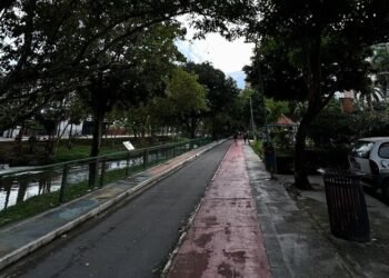 Ecobarreiras ajudam a conter lixo nos igarapés, mas desafios persistem