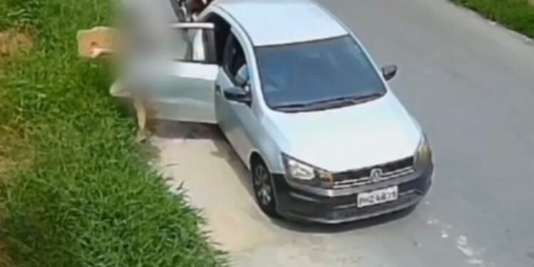 Mãe e filha são identificadas após abandonar cães em matagal no Nova Cidade