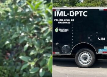 Mulher é encontrada morta em matagal na Ponta Negra, em Manaus