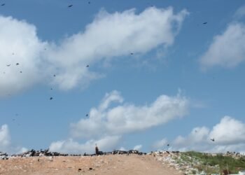Lixão de Tefé deve ser interditado, desativado e passar por recuperação ambiental